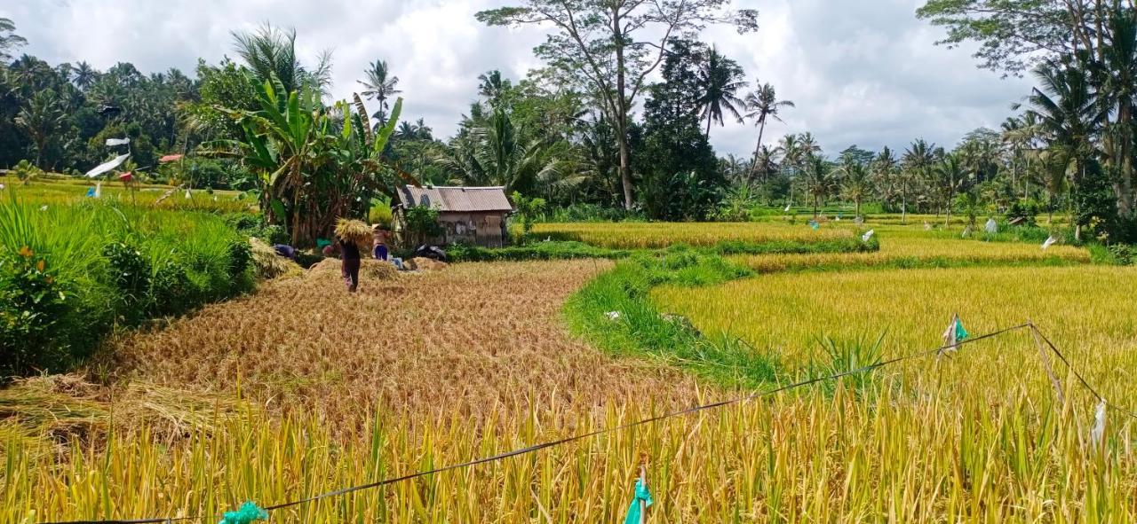 Rindu Homestay Undisan Exterior foto